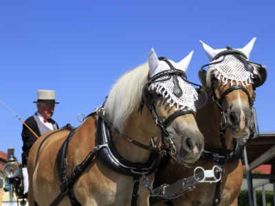100 Jahre MVO: Jubiläums- & Dorffest – Foto 104