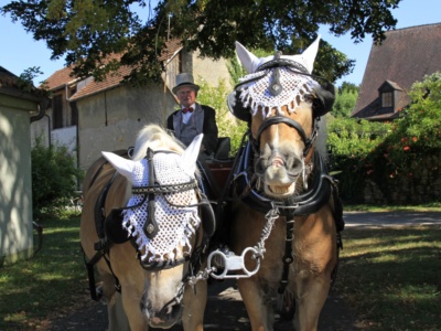 100 Jahre MVO: Jubiläums- & Dorffest – Foto 165