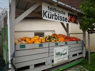 Dorffest 2024 – Foto 9
