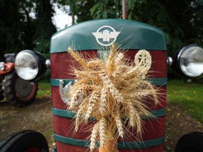 Dorffest 2024 – Foto 20