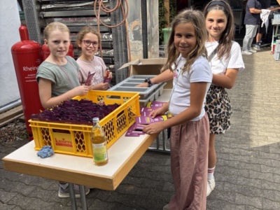 Dorffest und Jahrmarkt 2026 – Foto 30